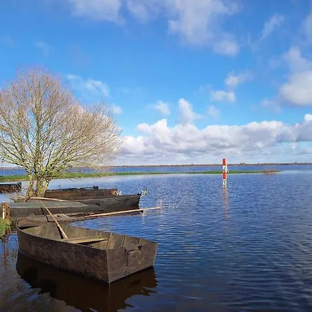 Lac Grand Lieu : maisonnette au calme avec jardin Saint-Lumine-de-Coutais Extérieur photo