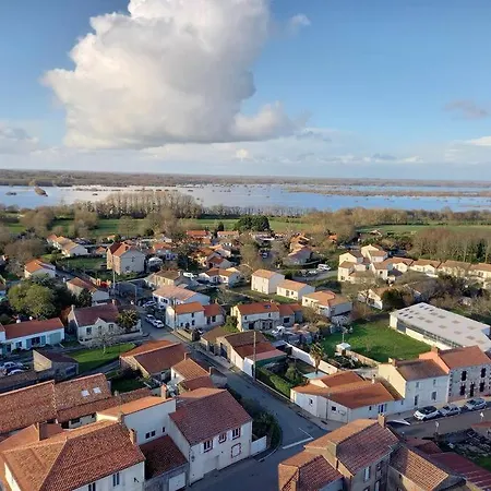 Lac Grand Lieu : maisonnette au calme avec jardin Saint-Lumine-de-Coutais Extérieur photo